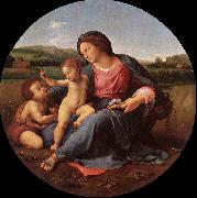 RAFFAELLO Sanzio The Alba Madonna oil painting artist